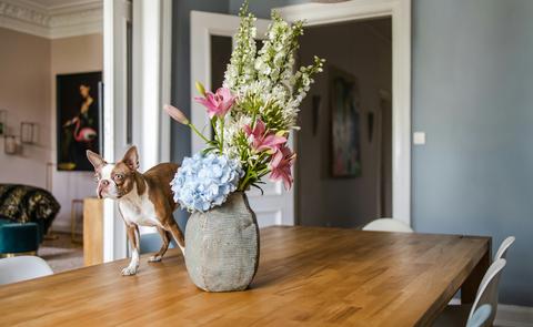 Kat naast een vaas met bloemen op een massief eiken tafelblad in een stijlvol interieur