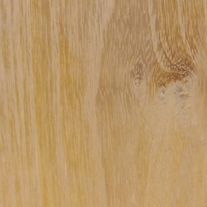 Acacia